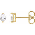 Oval 2-Prong Stud Earrings