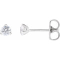Cocktail-Style Stud Earrings