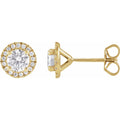 Cocktail-Style Halo-Style Stud Earrings
