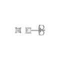 Square 4-Prong Stud Earrings
