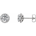 Round 4-Prong Halo-Style Earrings
