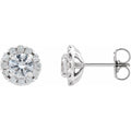French-Set Halo-Style Earrings