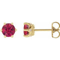 Natural Ruby And .03 Ctw Natural Diamond Earrings (Style 87134)