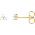 14K Yellow Gold Cultured White Freshwater Pearl Cluster Earrings