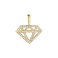 The Diamond Pendant